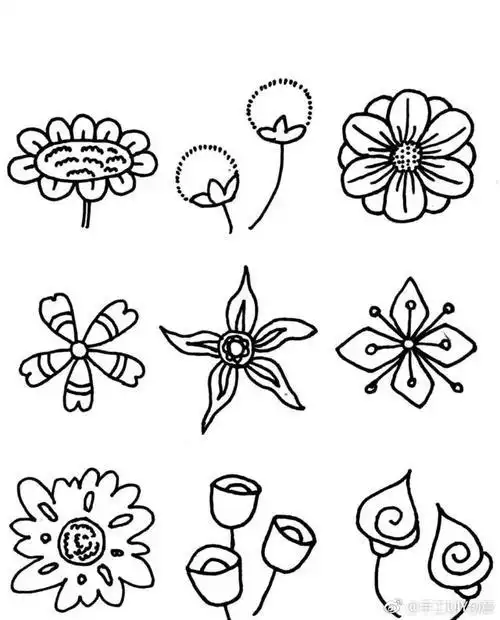 三种不同的花简笔画 简笔画图片大全-普车都