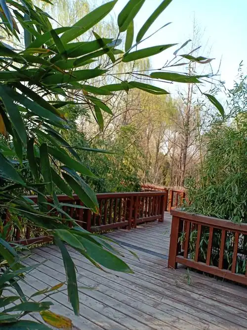 春游保定市生态园