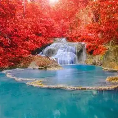 最吉祥的风景微信头像大全