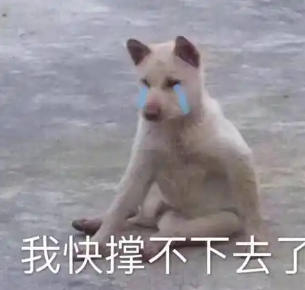 我快忍不住了表情包 - 我快忍不住了微信表情包 - 我快忍不住了qq表情