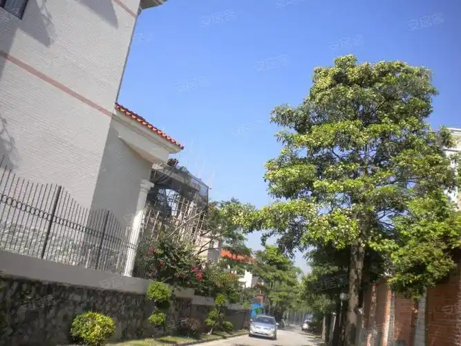 梅花山庄(别墅),民治大道-深圳梅花山庄(别墅)二手房,租房,房价-深圳