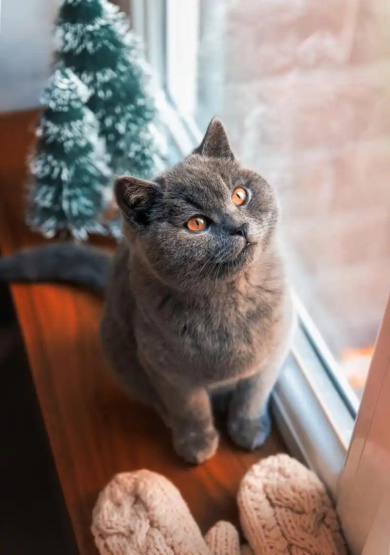 901_1280竖版 竖屏