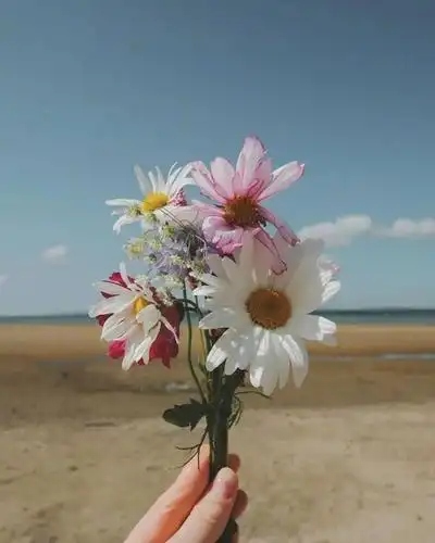 关于爱情的文案,温柔治愈,唯美浪漫!