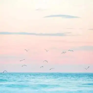 碧水蓝天风景头像(蓝天草原美景头像)