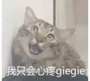 不像我只会心疼giegie梗介绍