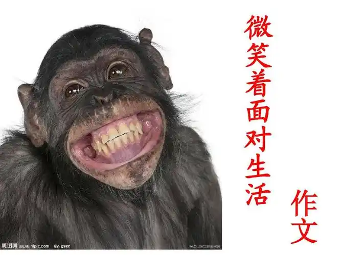 作文:微笑着面对生活