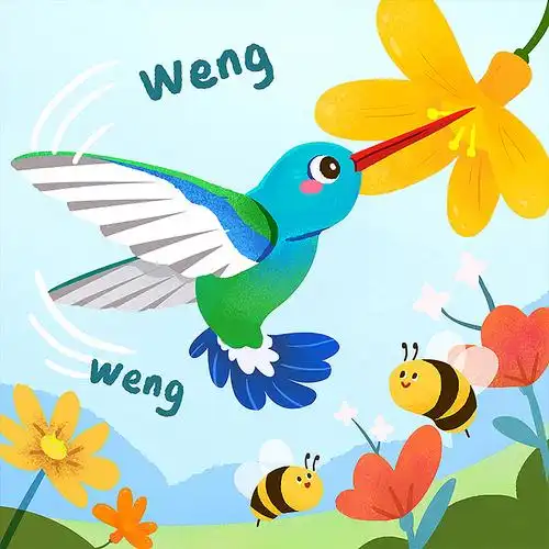 世界之最动物5-蜂鸟-世界上最小的鸟