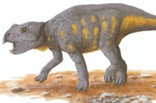 迈摩尔甲龙北美小型恐龙长27米生于15亿年前