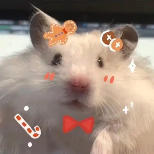 可爱小仓鼠圣诞头像