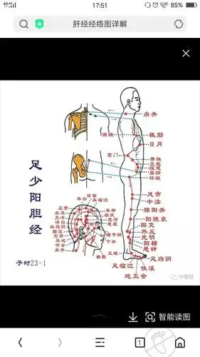 足少阴胆经(子时)