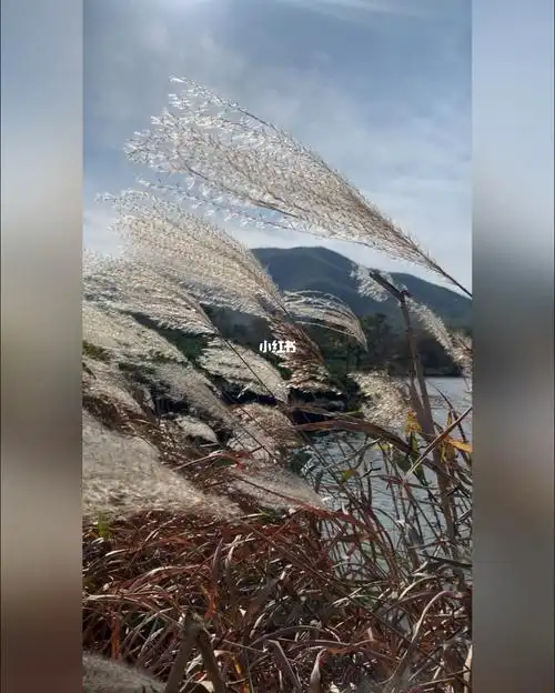 冬天的风是有形状的