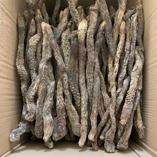 沙漠人参油性软肉苁蓉 梭梭油苁蓉大芸可整根可切片泡酒料500g