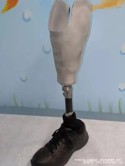 一文看懂3d打印技术在假肢接受腔定制中的应用