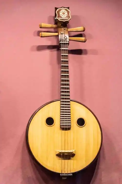 用"民乐表达世界"——"阮痴"冯满天的音乐哲学_阮咸_中国_弹拨乐器