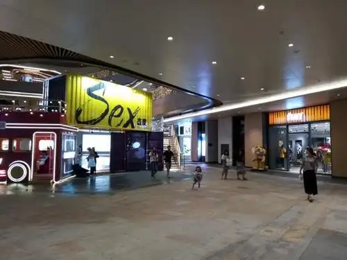 我从深圳龙岗中心城的龙城广场步行到万科里