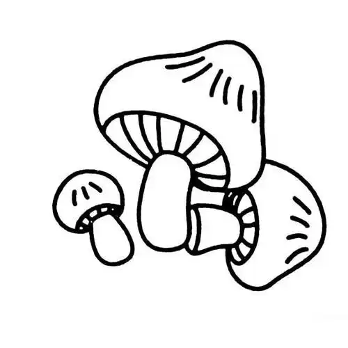 非常简单的蘑菇简笔画图片