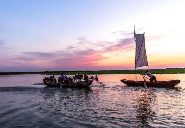 山东济宁微山湖国家湿地公园船荡微风入画丛