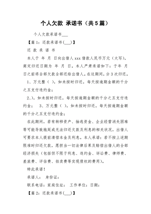个人欠款承诺书共5篇docx28页