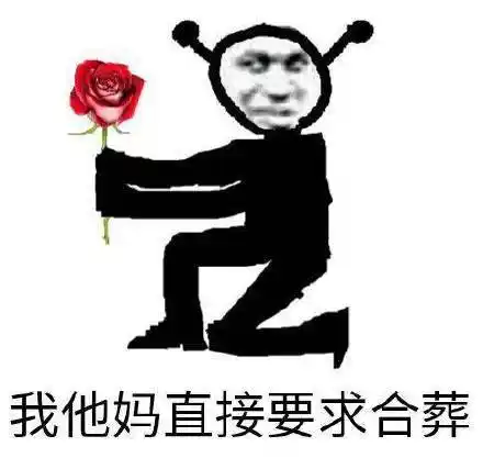 你们这群连妹子的胸都没摸过的辣鸡海贼斗图啦整理