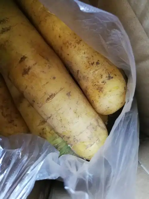 山西新鲜黄胡萝卜 2.5kg 黄萝卜新鲜手抓饭萝卜 新鲜蔬菜 一箱晒单图