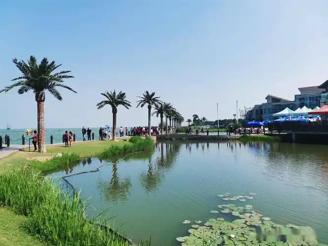 太湖私藏的高颜值小三亚蓝天碧水似海边免费且公交直达