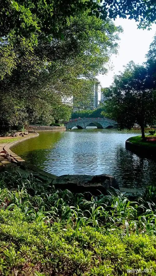 谷雨时节,清远市中山公园景美如画.