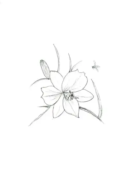 夹竹桃后面,有一座简易桥横跨水渠.