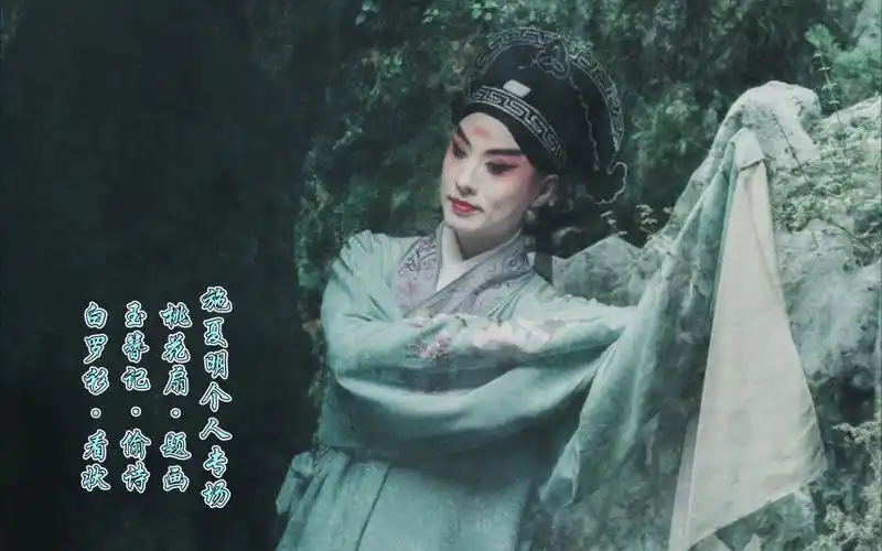 施夏明个人专场桃花扇题画玉簪记偷诗白罗衫看状
