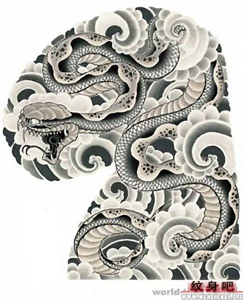 蛇彩色半甲纹身作品