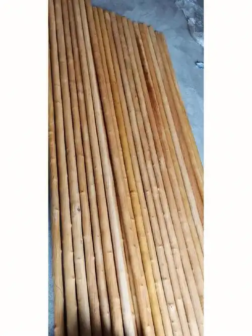 西北荀子木鞭杆小知识