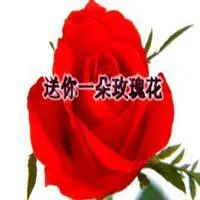 送你99朵玫瑰花表情包_微信头像图片大全
