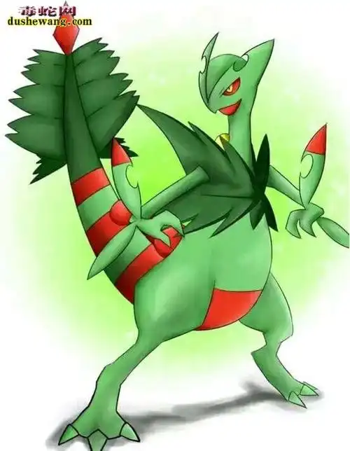 蜥蜴王百科详解