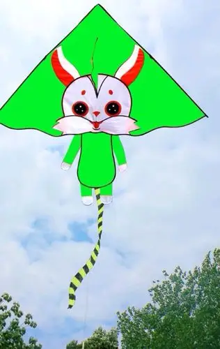 任丘信誉楼二楼为您准备了各样的风筝!