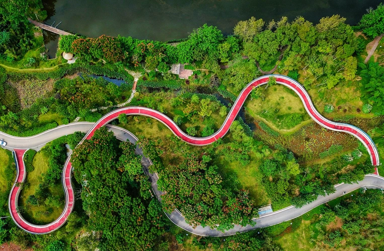 天府新区鹿溪智谷,绿道串起郁郁葱葱的美景./摄影 王效