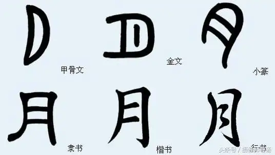 月字偏旁的字有哪些字 月字偏旁的字有哪些字用古文怎么写 - 珍缘易学