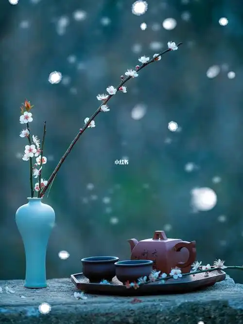 一组古风禅意梅花图片送给大家祝大家新年快乐国风古韵唯美意境