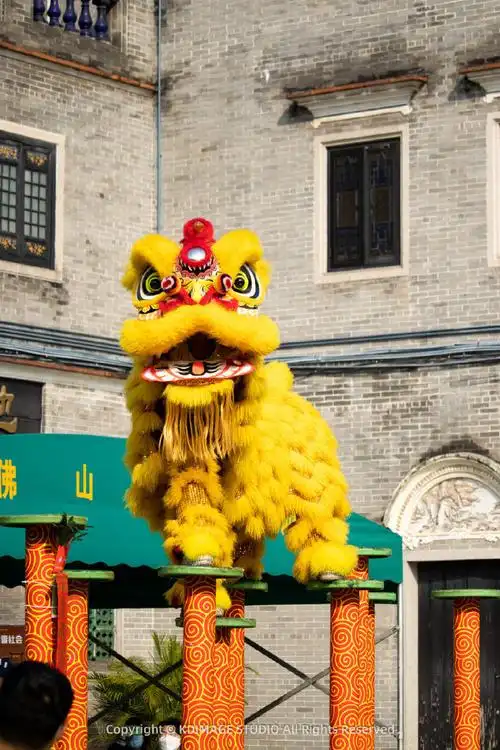 【大卫行摄】佛山醒狮,震撼人心的岭南文化瑰宝.