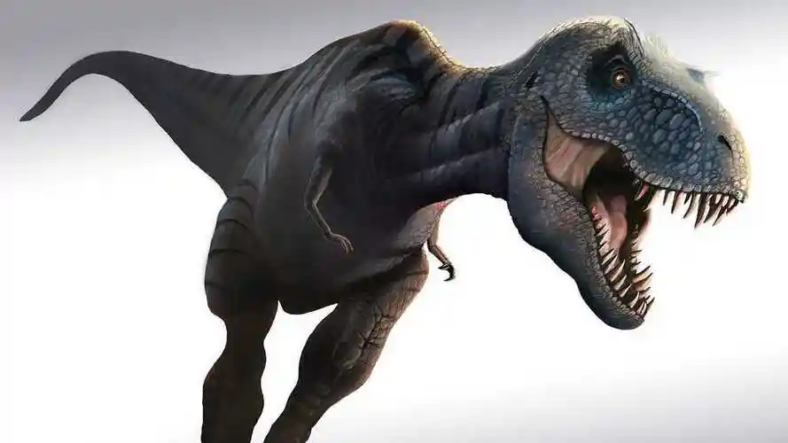 凶猛恐龙猎杀排行榜,细数高智商又凶猛的恐龙_腾讯视频