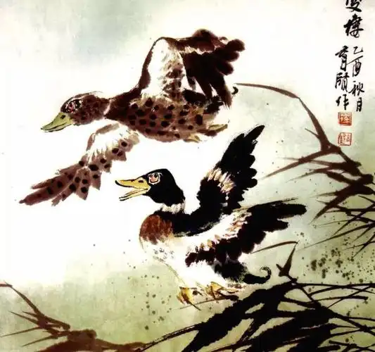国画禽鸟:鸭子画法