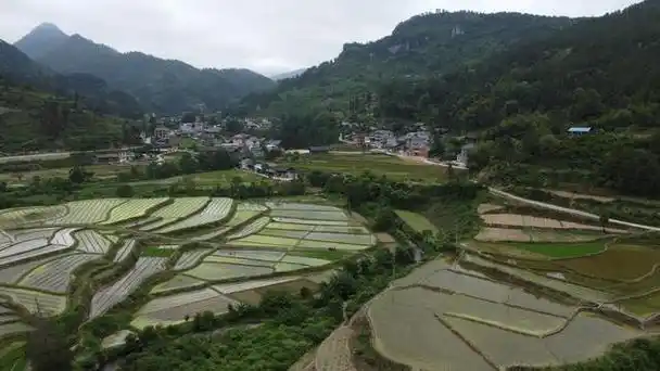 岑巩县龙田镇:产业发展旺 群众稳增收