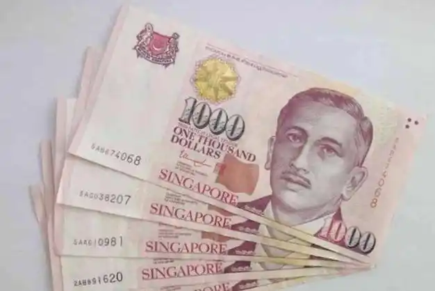 这次入境新加坡一共携带约200万新元进入新加坡, 这一次,他被新加坡的