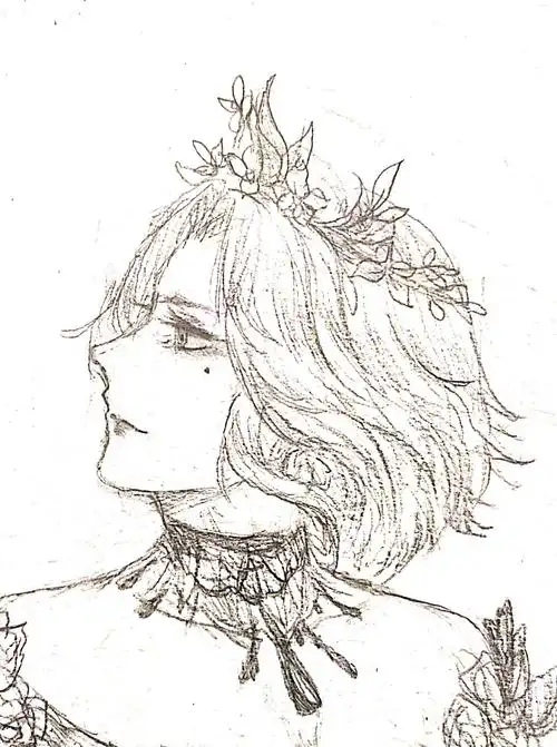 水一个红夫人x 血宴好好看,-西鹔肃鸟