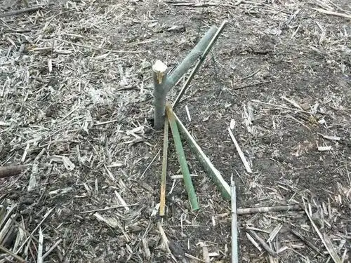 世界上最简单的吊脚套制作方法野鸡斑鸠一套一个准