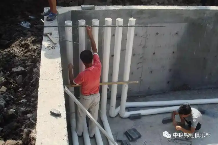 这个140吨的鱼池堪称完美