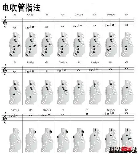 罗兰ae-10后增的5种指法-◇电吹管论坛◇-键盘中国论坛 - powered by