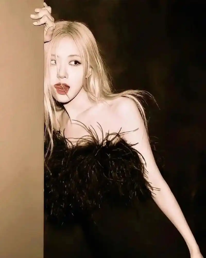 rose绝美壁纸97 请礼貌拿图哦9595