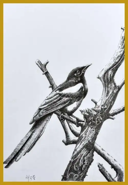 青岛市老年大学2018黑白钢笔画2班钢笔画优秀作品展