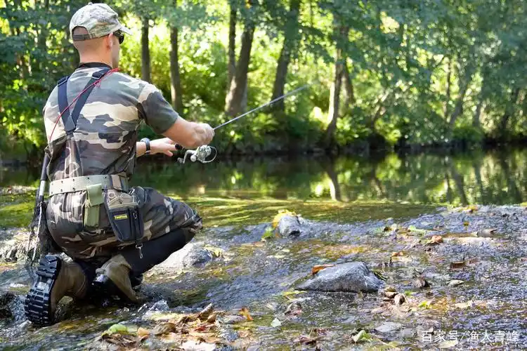 路亚鱼 - 热门商品专区