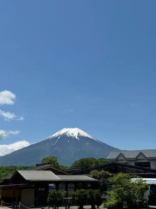 690_920竖版 竖屏