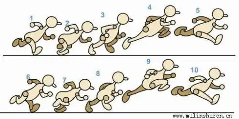 长跑中正确呼 吸方法¤   ¤跑步后的最佳拉 伸运动&